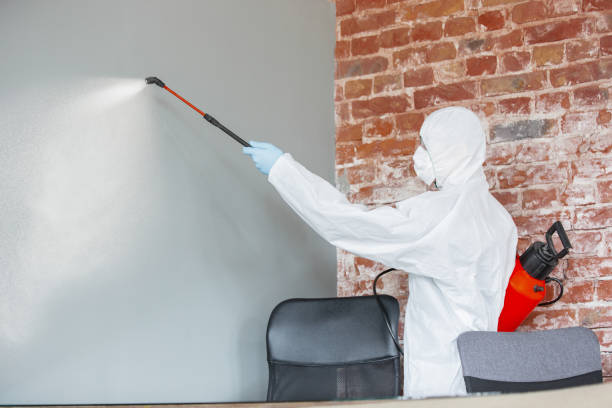 Best Industrial Mold Remediation  in Republic, MO