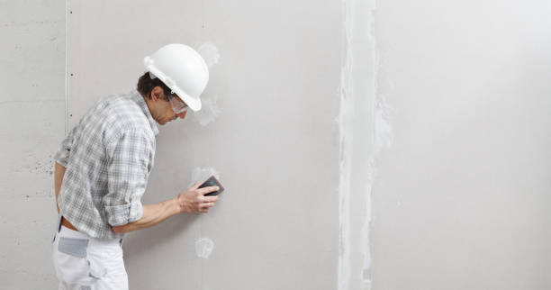 Best Asbestos and Lead Testing During Mold Inspection  in Republic, MO