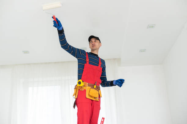 Mold Documentation for Insurance Claims in Republic, MO